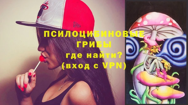 прущие крисы Алзамай