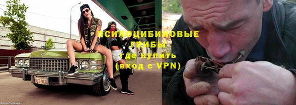 прущие крисы Алзамай