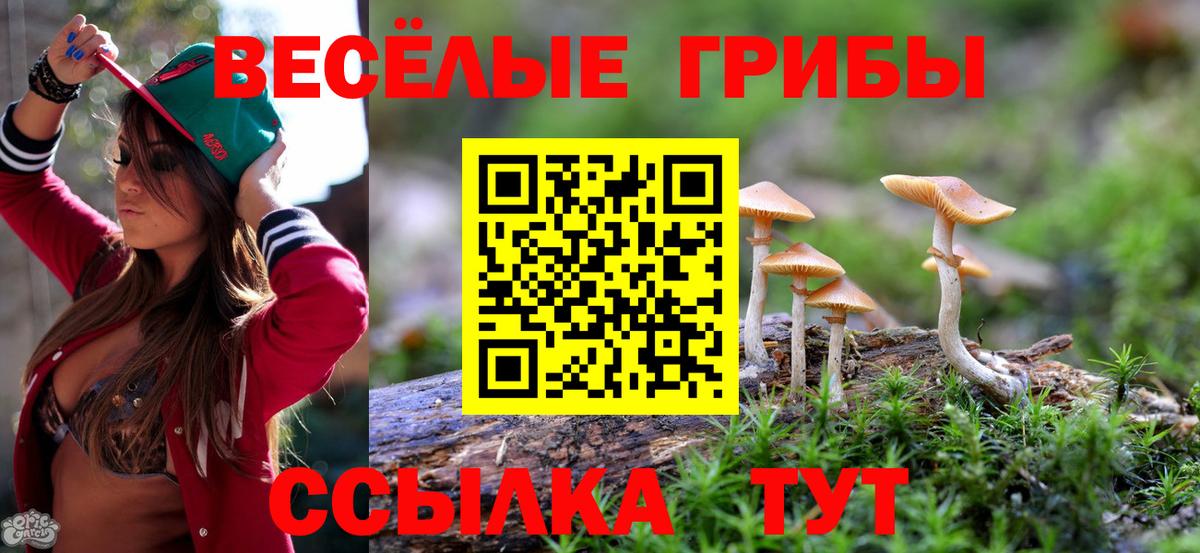 Гашиш  Вход с VPN  NBOMe  Меф МЯУ МЯУ   Бошки Шишки  Cocaine  Алушта  ТГК 