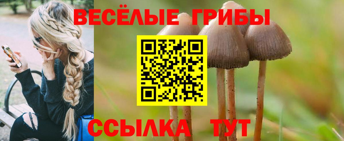 Псилоцибиновые грибы мухоморы  Вход с VPN  Алушта 